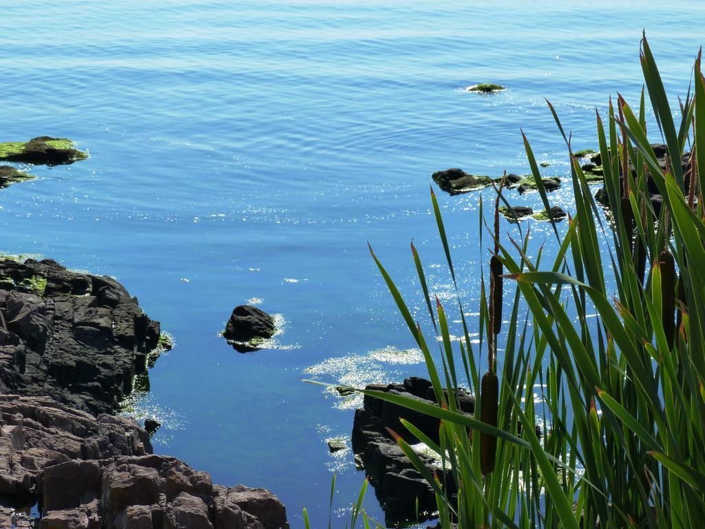 Sea View Apartments ソゾポル エクステリア 写真