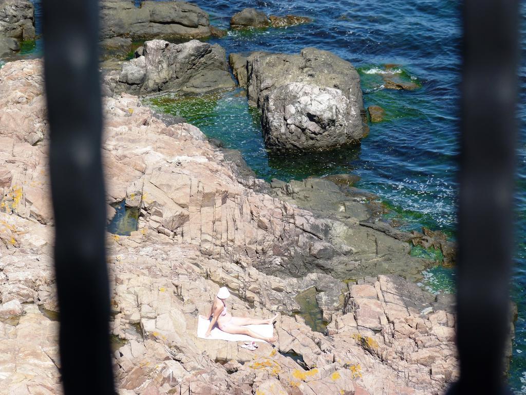 Sea View Apartments ソゾポル 部屋 写真